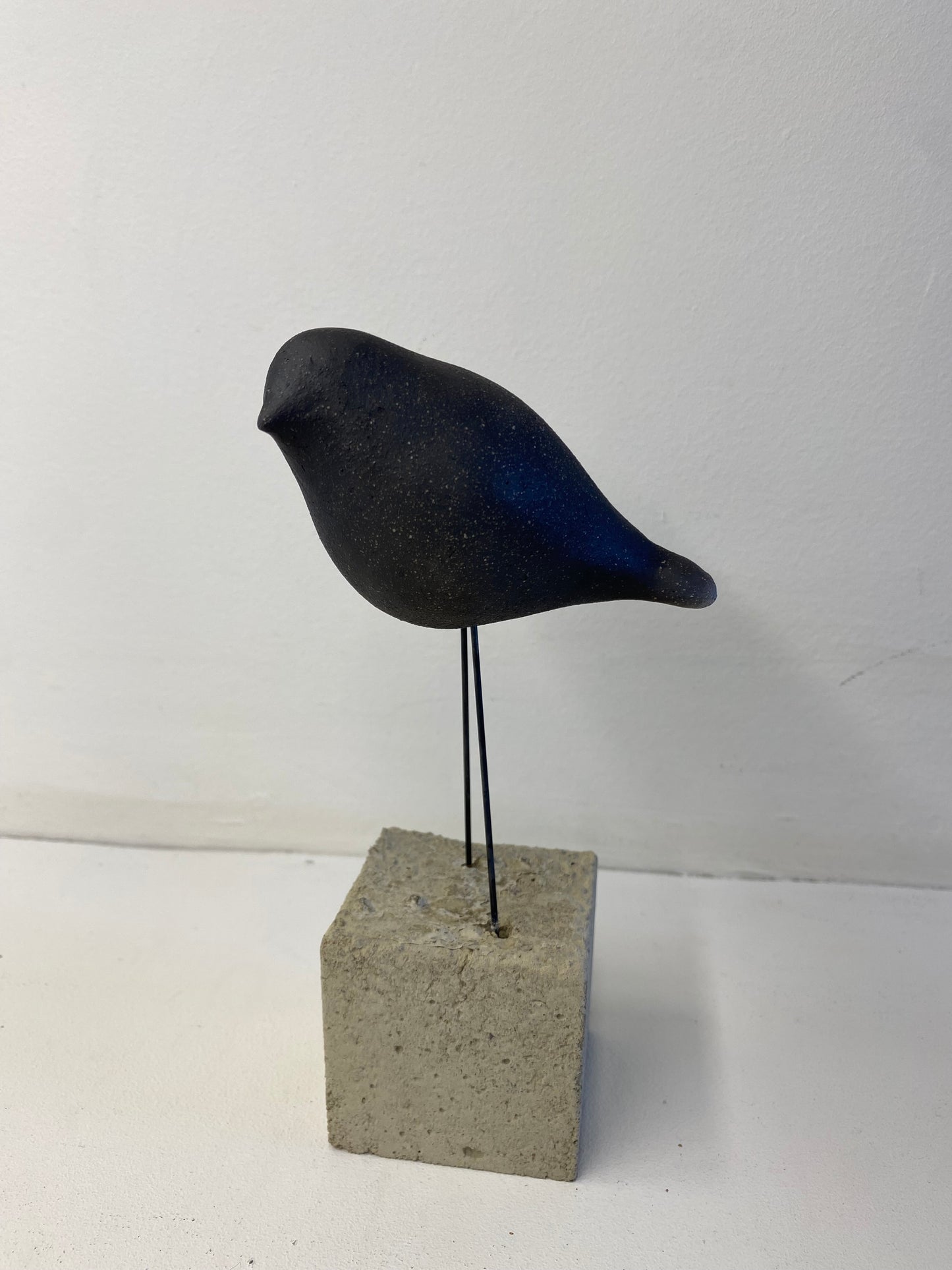 Fågel svartbränd