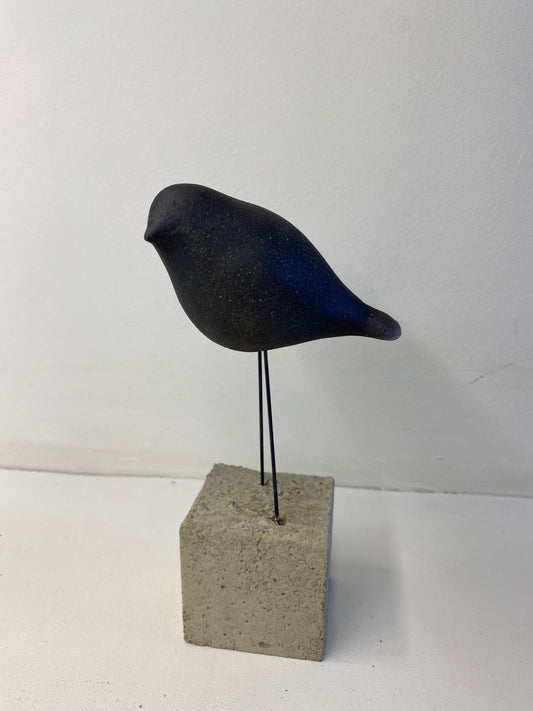Fågel svartbränd